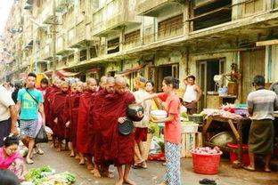 柬埔寨缅甸爆料视频大全,揭秘真实内幕  第3张