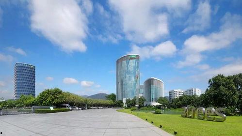 三棵树爆料恒大事件视频,三棵树揭露惊人内幕,深度剖析行业风云 第1张 三棵树爆料恒大事件视频,三棵树揭露惊人内幕,深度剖析行业风云 第1张