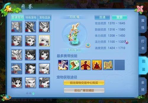 手游最新宠物爆料,手游新宠来袭，带你领略奇幻之旅