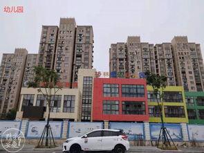 儋州家园广场爆料案件最新,真相大白，正义得以伸张  第3张